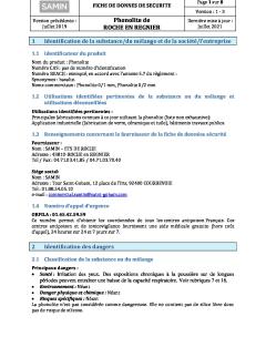 Phonolite de ROCHE EN REGNIER